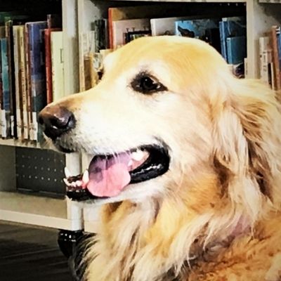PAWS for Reading at Hill Road Library
