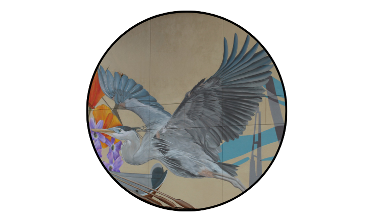 Close-up photo of the Great Blue Heron on the Prueter Library Mural