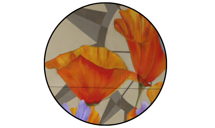 Close-up photo of CA Poppies on the Prueter Library Mural