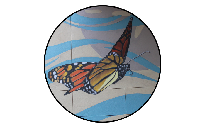 Close-up photo of a Monarch butterfly on the Prueter Library Mural
