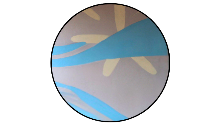 Close-up photo of the Sand Dollar on the Prueter Library Mural