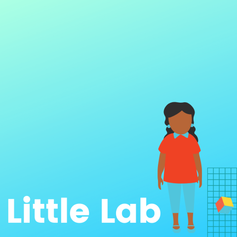 Little Lab
