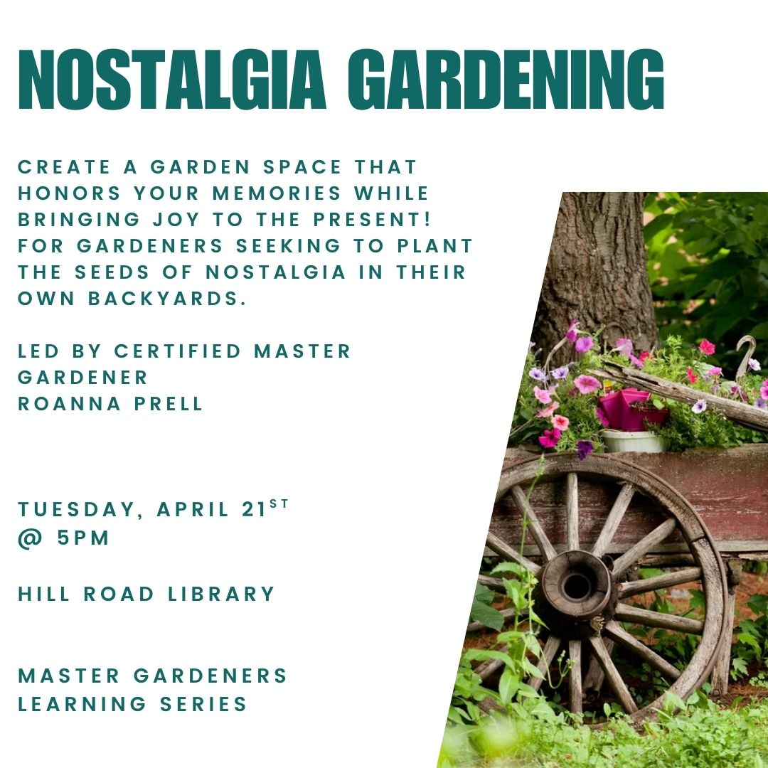 Nostalgia Gardening: Growing Memories In Your Backyard
