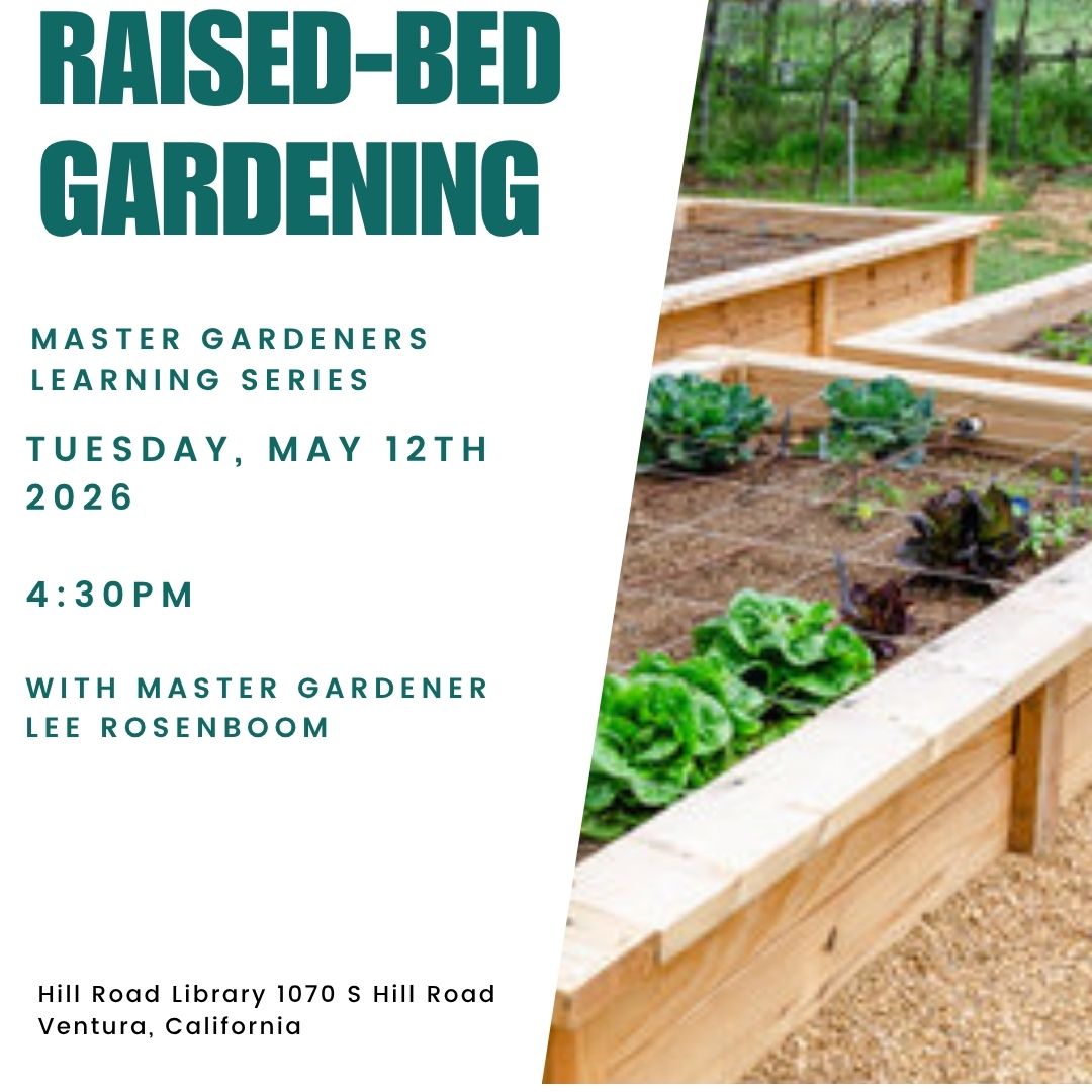 Master Gardeners Learning Series: Raised-Bed Gardening
