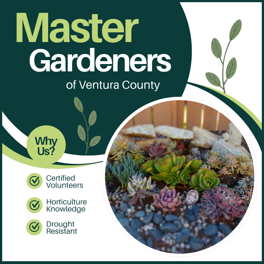 Master Gardeners at Oak Park Library