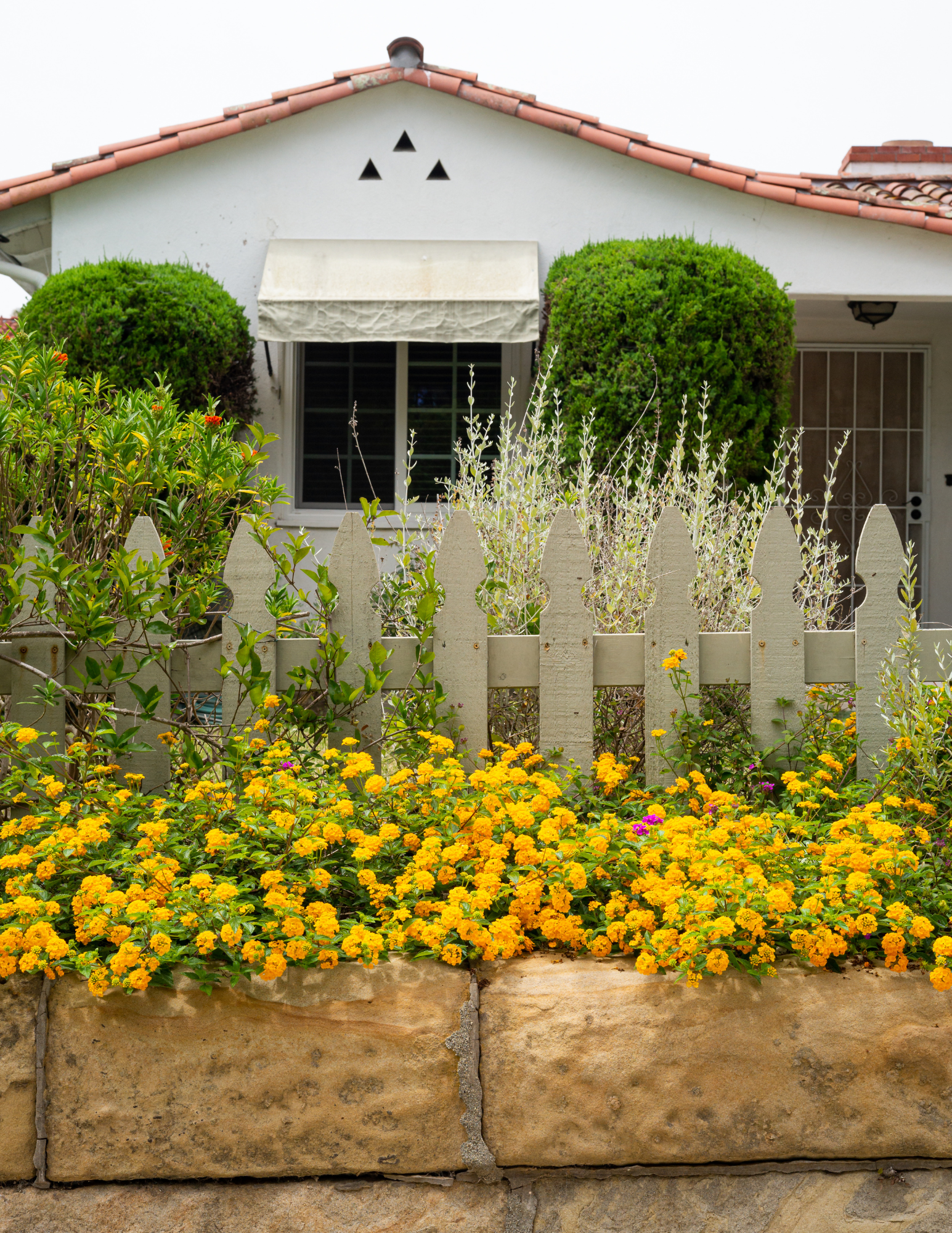 Master Gardeners: Firewise Living: From Structure to Landscape