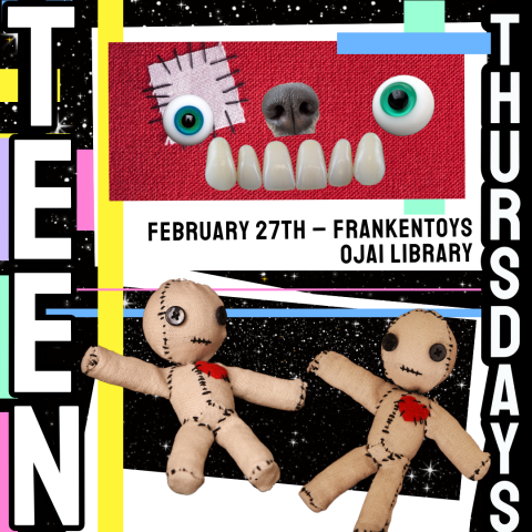 Teen Thursdays February 27th – Frankentoys ojai library, Picture of handmade dolls and various body parts. bold pastel line illustrations.