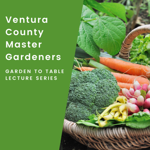 Master Gardeners Lecture Series