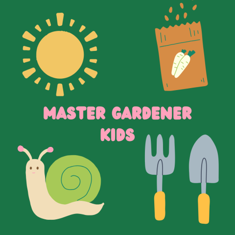 MG kids square