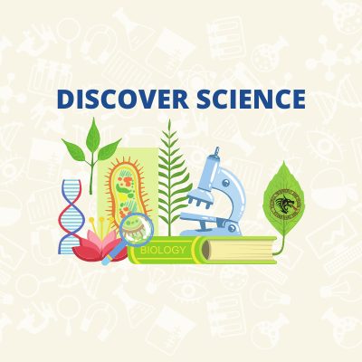 logo for the discover science group; an illustration of laboratory tools