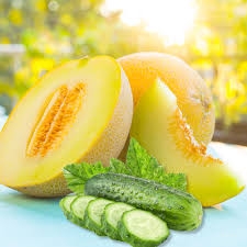 Melons and cucumbers.