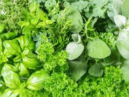Green Mediterranean herbs.