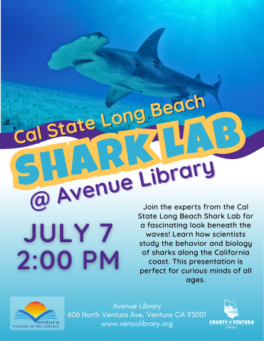 hammerhead shark in the ocean - Shark Lab @ Avenue Library