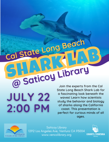hammerhead shark in the ocean - Shark Lab @ Saticoy Library