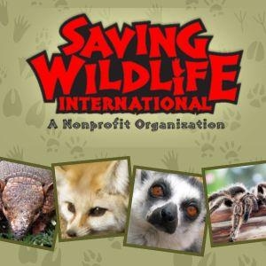 logo for the Saving Wildlife International organization and embedded images of an alligator, a fennec fox, a lemur, and a tarantula