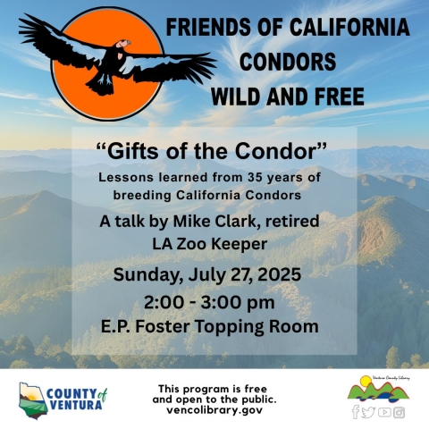 Orange sun with a condors flying in front of it. Mountain landscape background. Gifts of the Condor is the text.