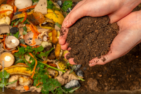 Garden compost. Hands holding soil next to food scraps.