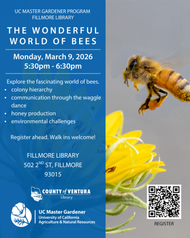 bee near a flower with master gardener's event info