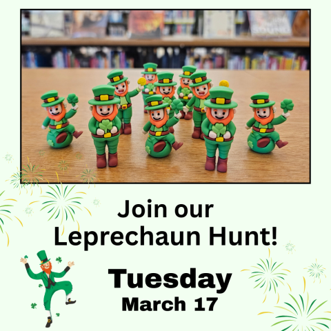 Photo of tiny leprechaun figurines on bookshelf