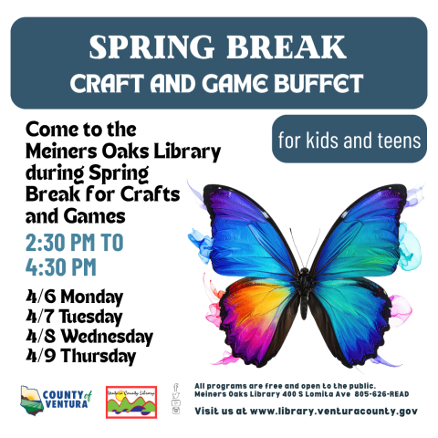 A colorful butterfly.