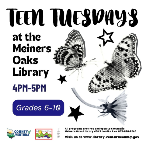Teen Tuesdays at the Meiners Oaks Library.  Cut out and pixelated flowers, stars and butterflies.