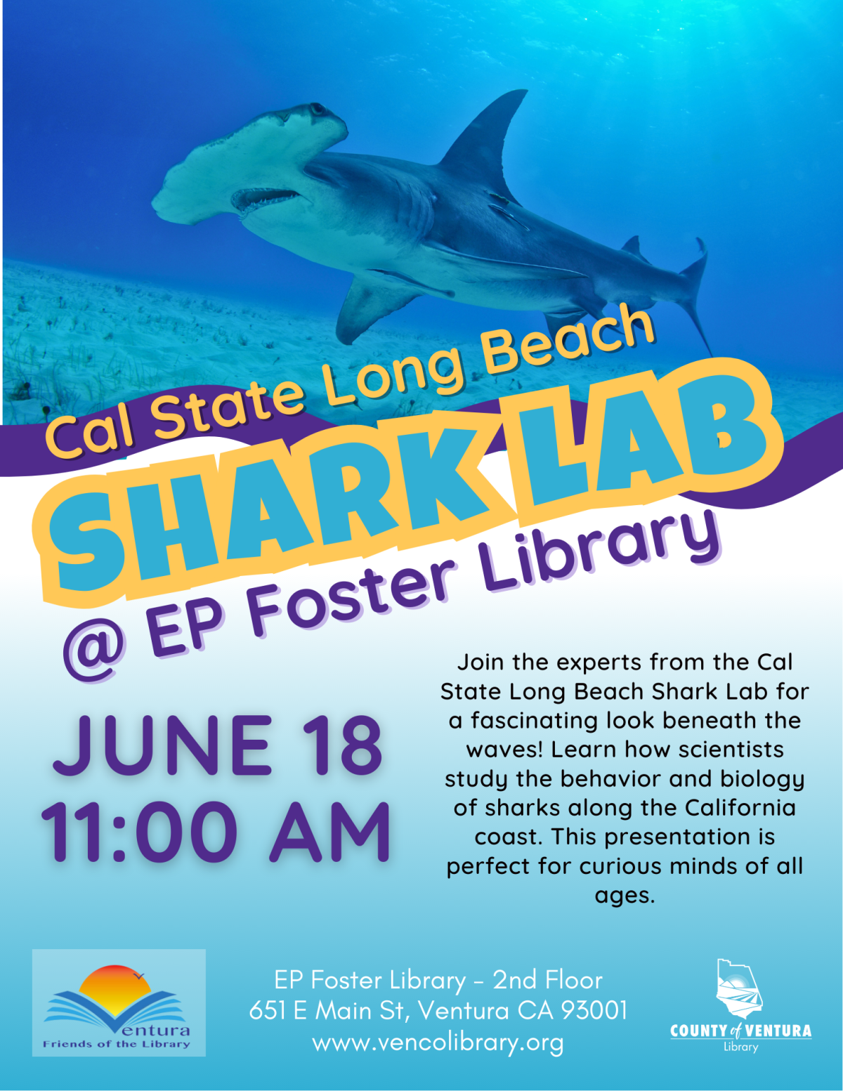 hammerhead shark in the ocean - Shark Lab @ EP Foster Library